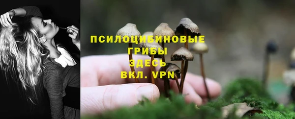 эйфоретик Пересвет
