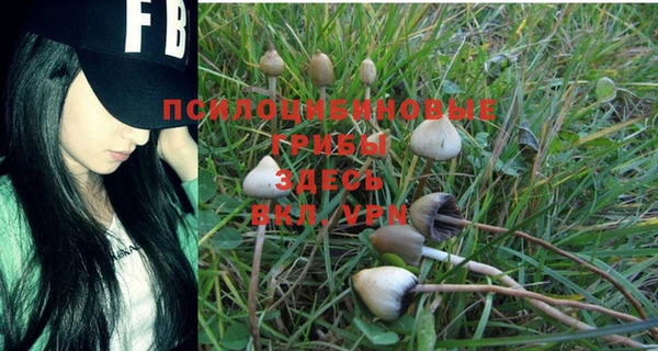 твердый Аркадак