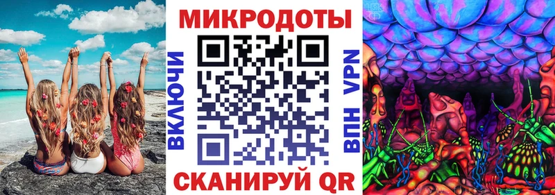 наркота  Боровичи  Псилоцибиновые грибы мухоморы 